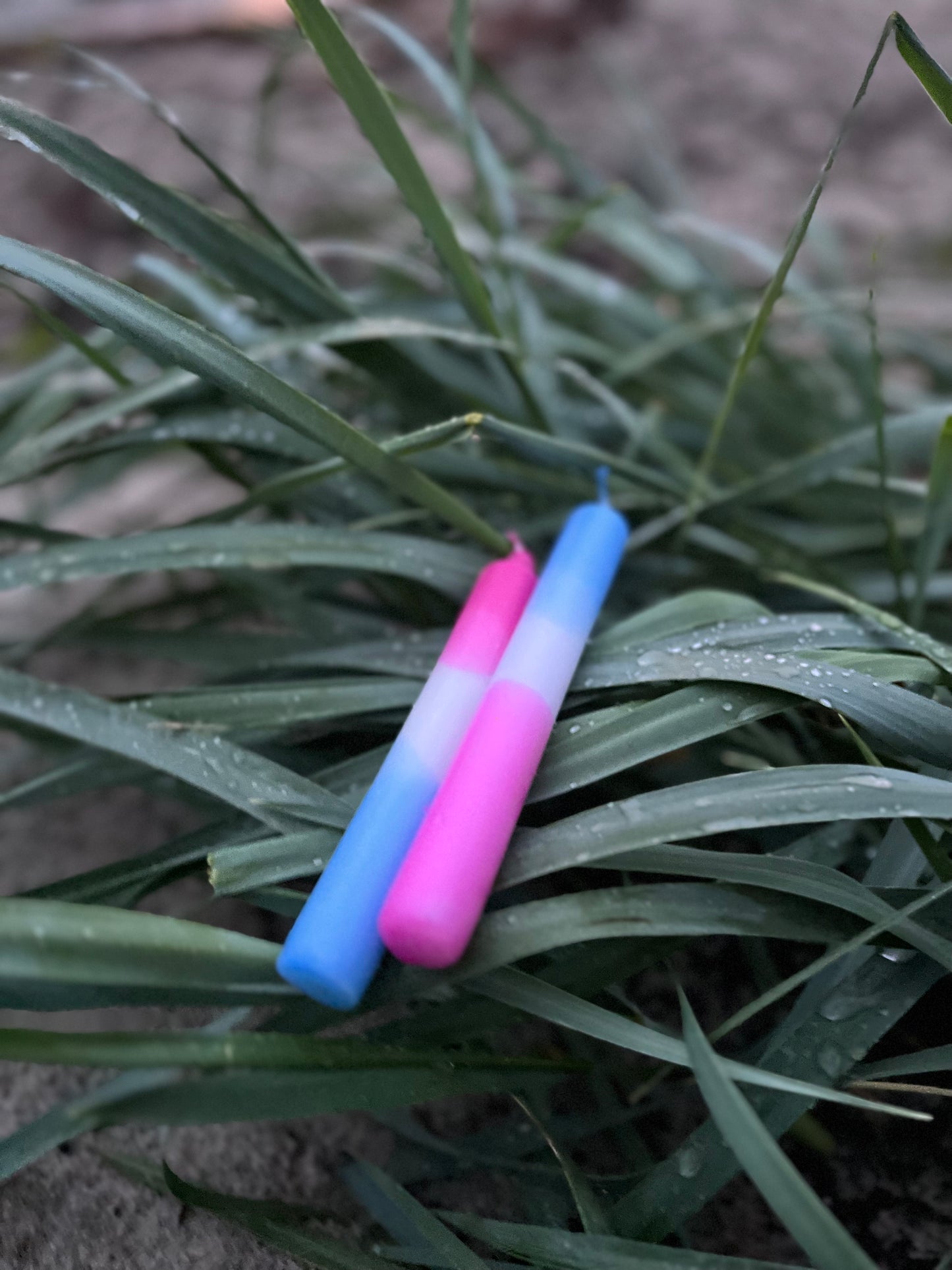 Doppelt gedippt Pink/Blau