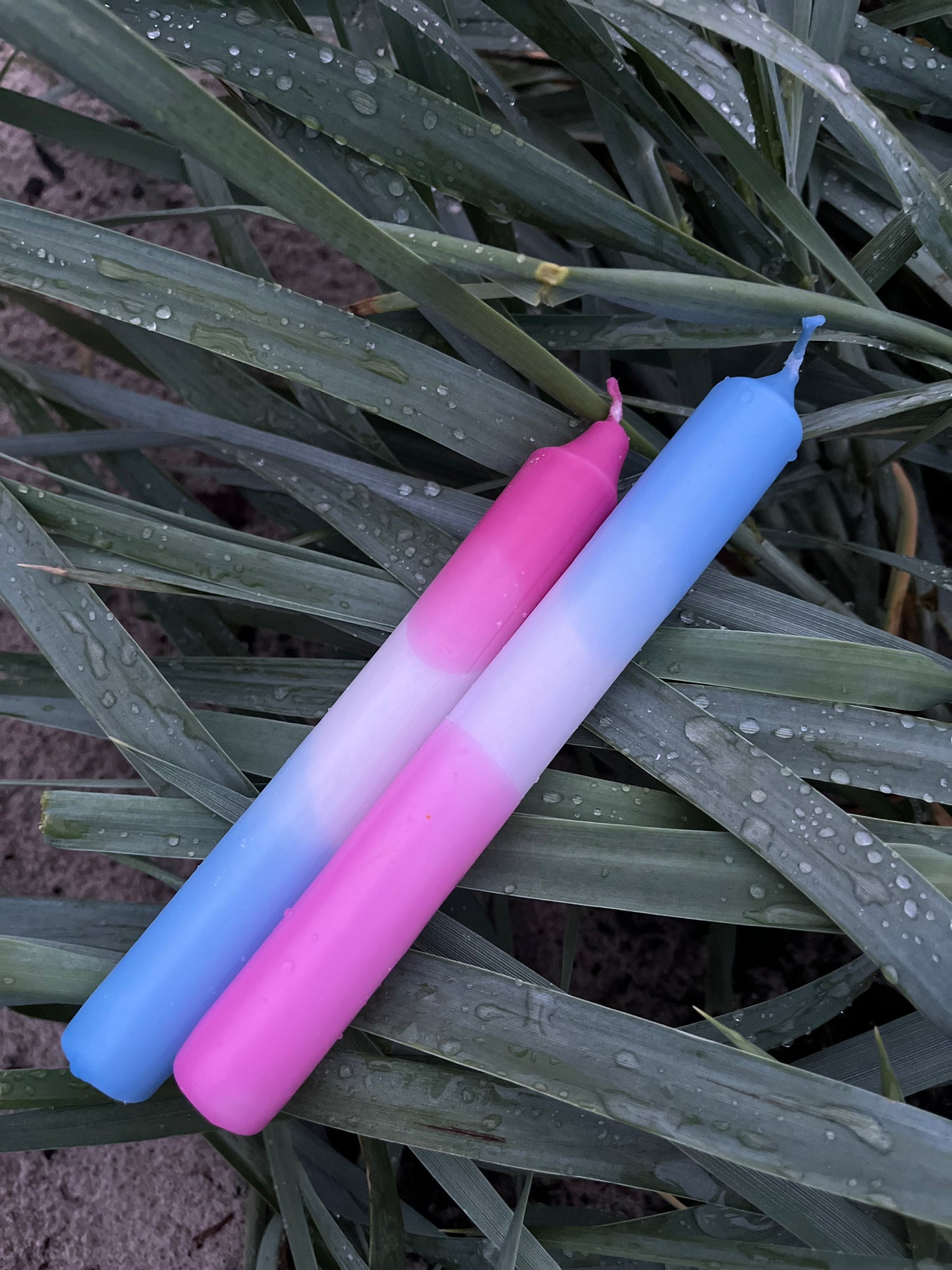 Doppelt gedippt Pink/Blau
