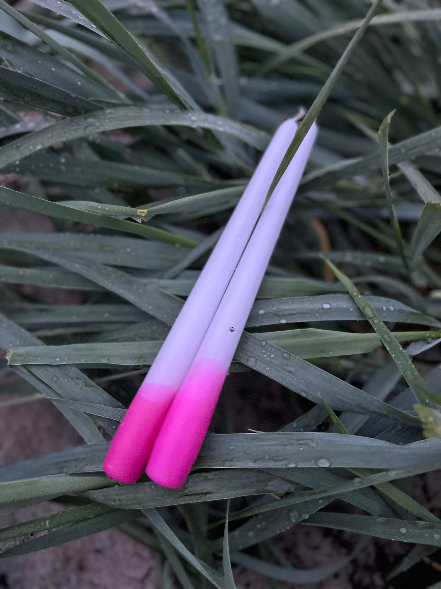 Einfach gedippt Pink