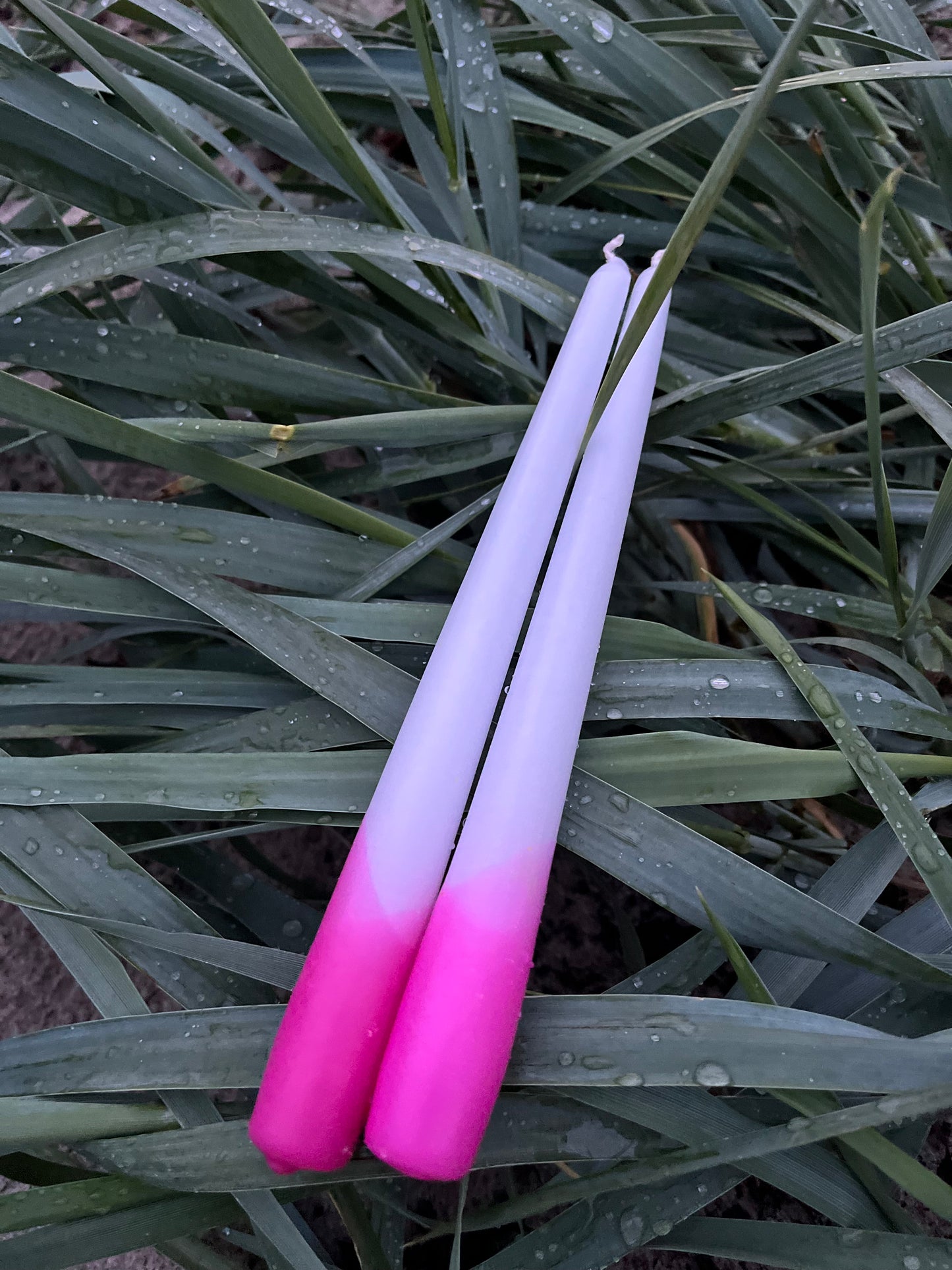 Einfach gedippt Pink